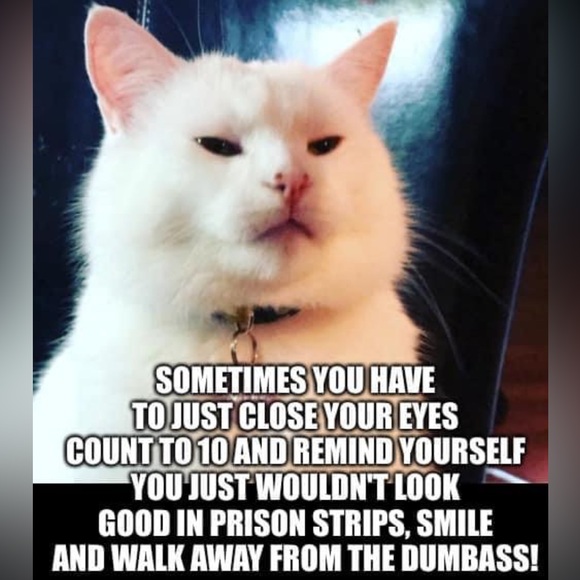 Meet your Posher, Kelly - Picture 11 of 11